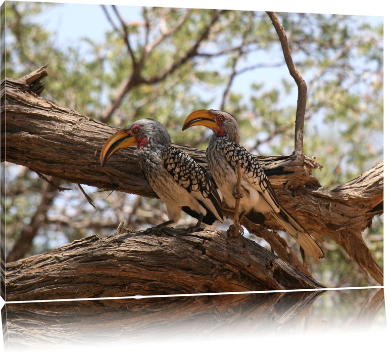 Pixxprint zwei Vögel auf einem Baum, Leinwandbild
