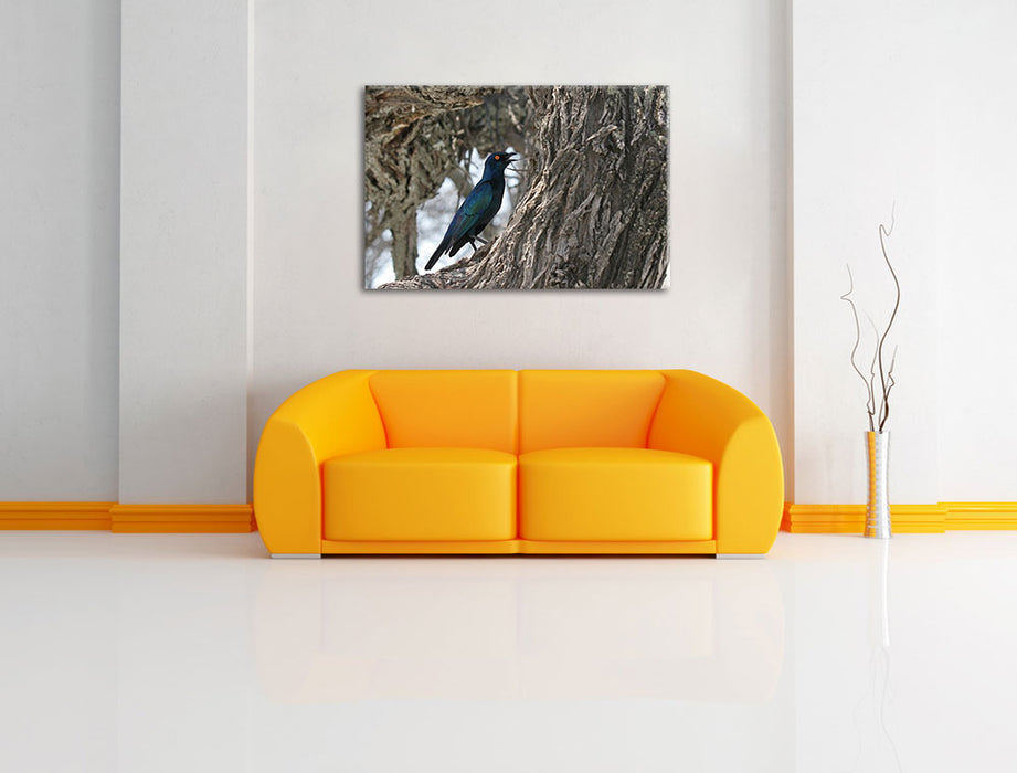 Purpurglanzstar auf Baum Leinwandbild über Sofa