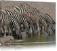 Zebrafamilie an einem Wasserloch Leinwandbild