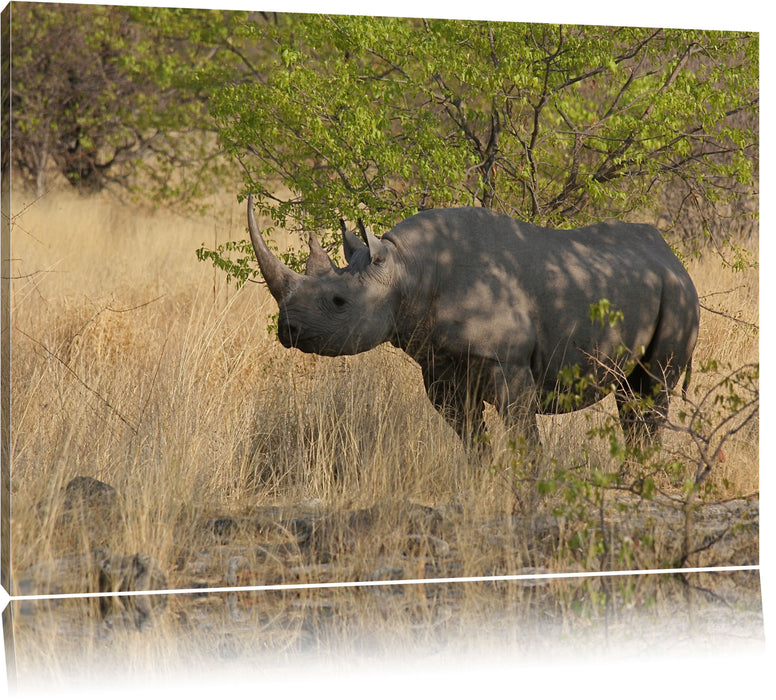 Pixxprint Nashorn in der Savanne, Leinwandbild