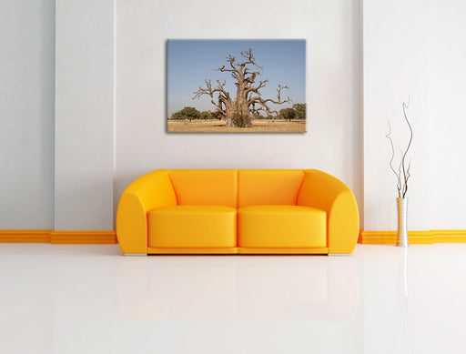 vertrockneter Baum in der Savanne Leinwandbild über Sofa