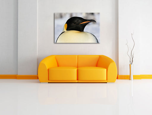 prachtvoller Kaiserpinguin Leinwandbild über Sofa