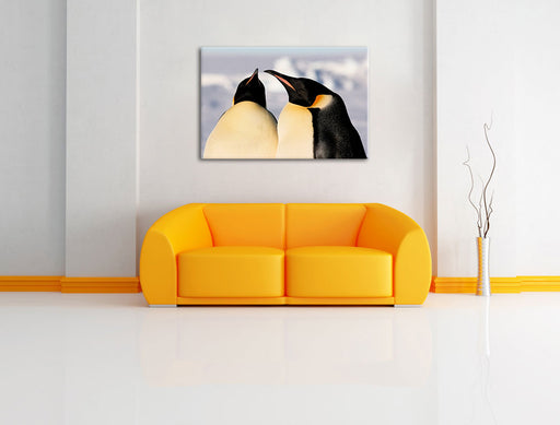 zwei prachtvolle Kaiserpinguine Leinwandbild über Sofa