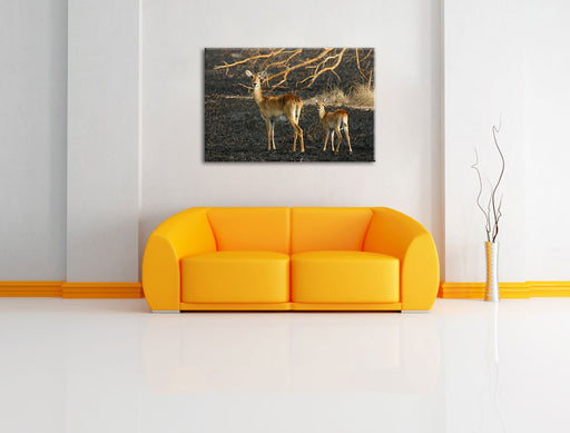 weibliche Gazelle mit Jungtier Leinwandbild über Sofa