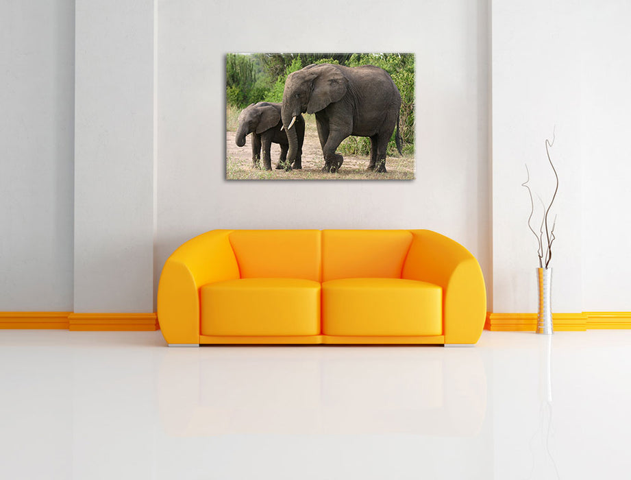 Elefantenkuh neben Jungtier Leinwandbild über Sofa