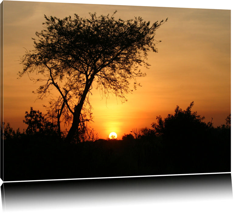 Pixxprint Dämmerung in Savanne, Leinwandbild
