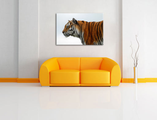 Tiger vor Hintergrund Leinwandbild über Sofa