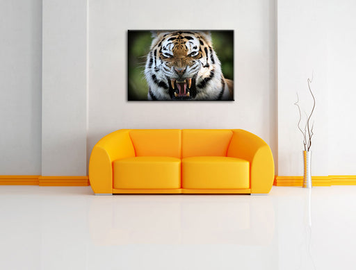 aggressiver Tiger Leinwandbild über Sofa