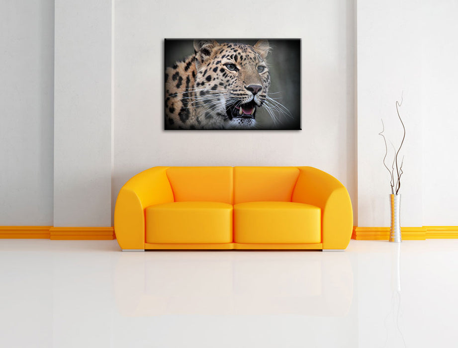 ausgewachsener Leopard Leinwandbild über Sofa