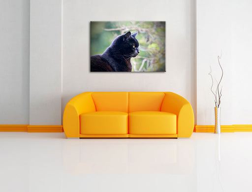 schwarze Katze Leinwandbild über Sofa