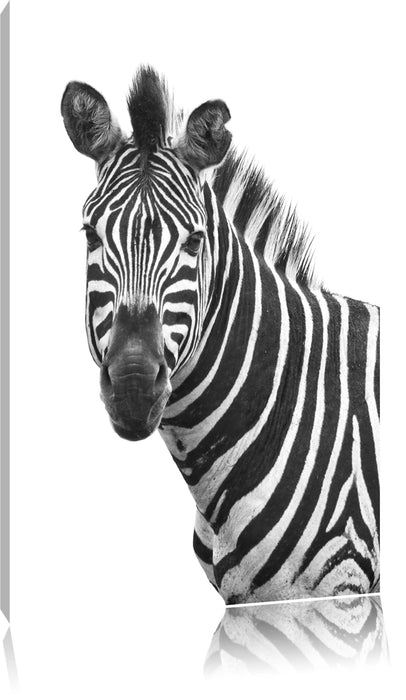 Pixxprint Zebra im Portrait, Leinwandbild