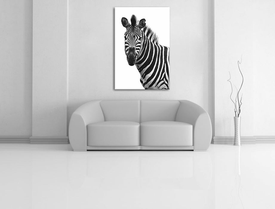 Zebra im Portrait Leinwandbild über Sofa