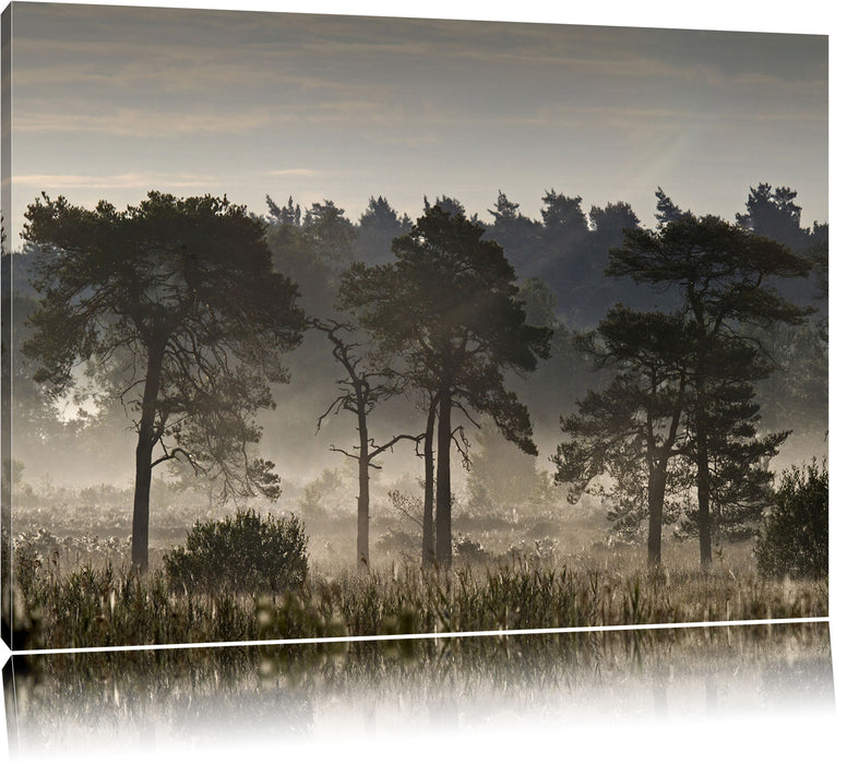 Pixxprint vernebelte Landschaft, Leinwandbild