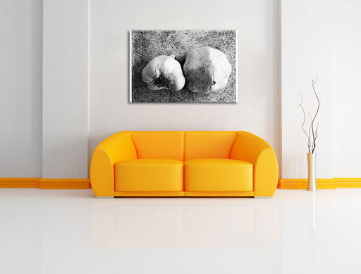 zwei Knoblauchknollen Leinwandbild über Sofa