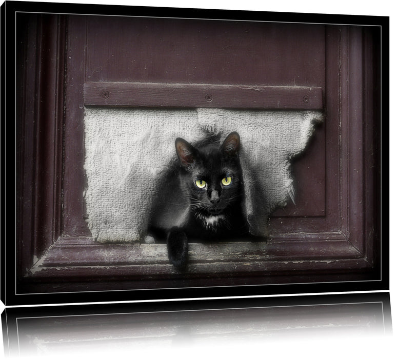 Pixxprint Katze durch Hundeklappe, Leinwandbild