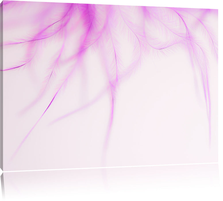 Pixxprint zarte pinke Federn, Leinwandbild