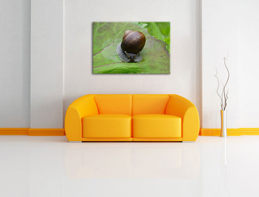 kleine Schnecke mit Schneckenhaus Leinwandbild über Sofa