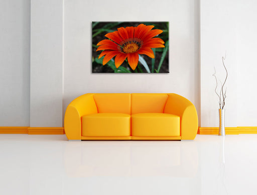 große orangefarbene Blüte Leinwandbild über Sofa