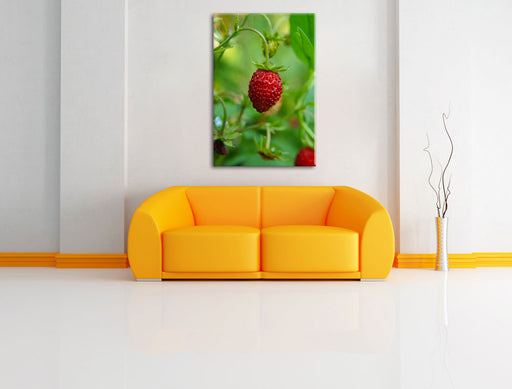 kleine wilde Erdbeere Leinwandbild über Sofa