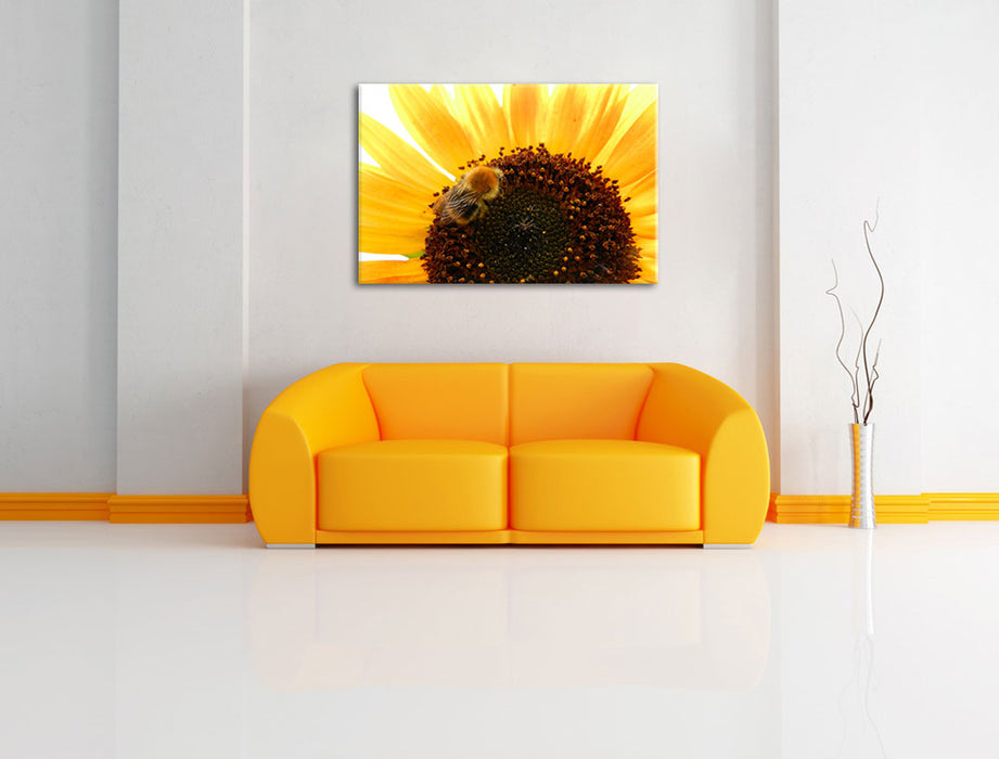 Biene auf Sonnenblume Leinwandbild über Sofa