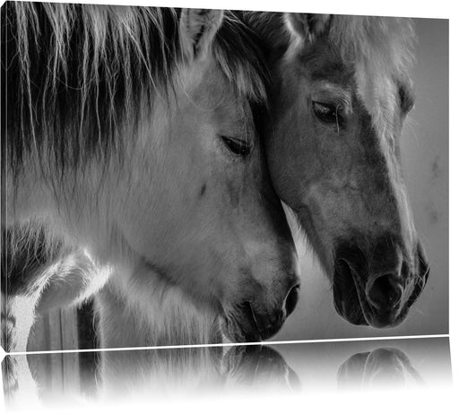 zwei liebevolle Pferde Leinwandbild