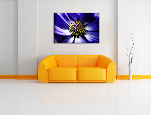 lilafarbene Margarete Leinwandbild über Sofa