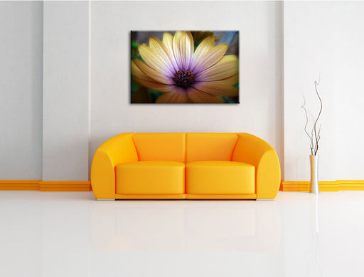 außergewöhnliche Blume Leinwandbild über Sofa