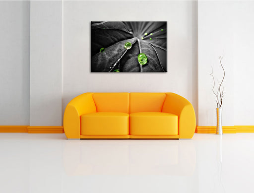 Regentropfen auf Pflanze Leinwandbild über Sofa