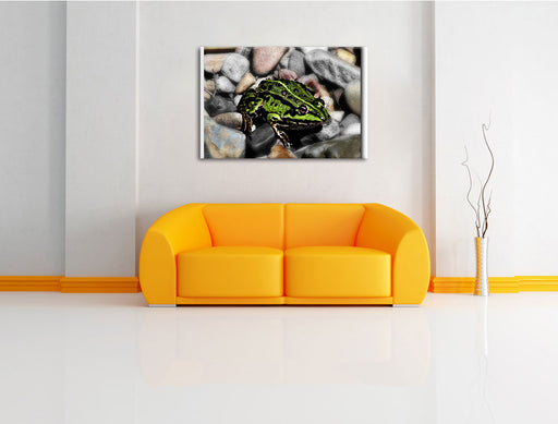 grüne Kröte in Steinbett Leinwandbild über Sofa