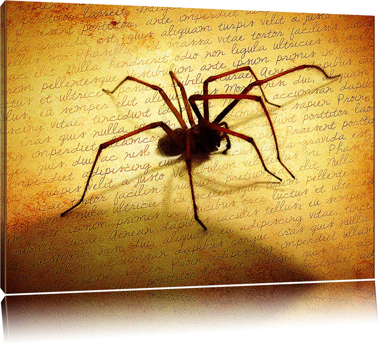 Pixxprint Hausspinne auf Briefpapier, Leinwandbild