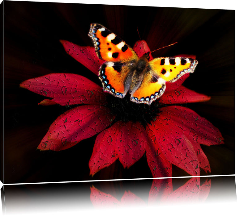 Pixxprint Schmetterling auf roter Blüte, Leinwandbild