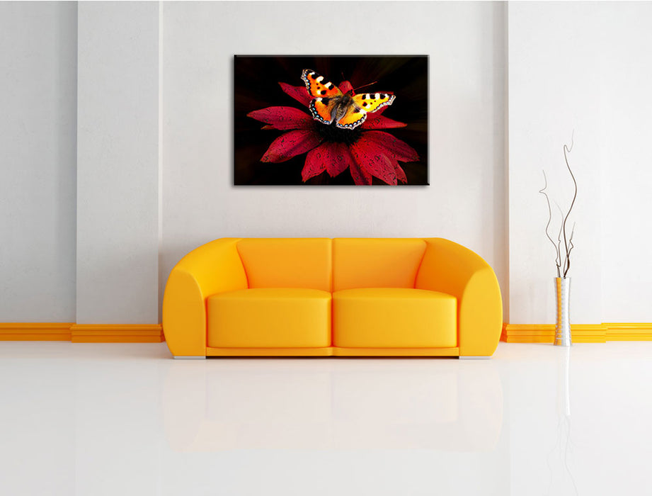 Schmetterling auf roter Blüte Leinwandbild über Sofa