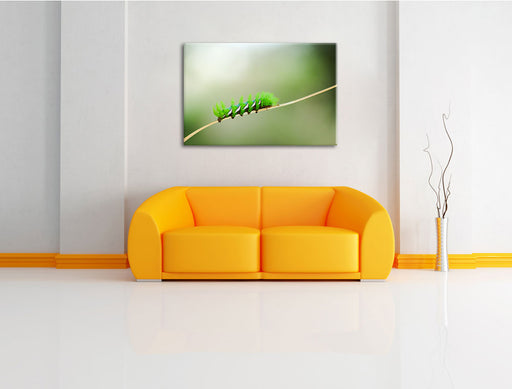 seltene grüne Raupe Leinwandbild über Sofa