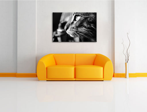 anmutige Katze im Seitenprofil Leinwandbild über Sofa