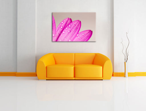 Wassertropfen auf Blüte Leinwandbild über Sofa