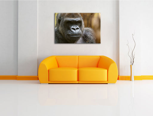 stolzer Gorilla Leinwandbild über Sofa