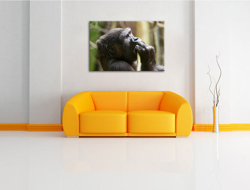 Gorilla isst Leinwandbild über Sofa