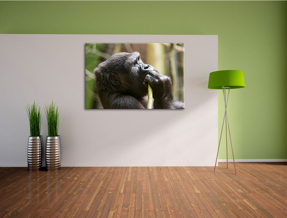 Gorilla isst Leinwandbild im Flur