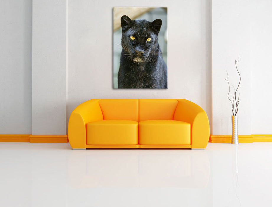 prächtiger Panther Leinwandbild über Sofa