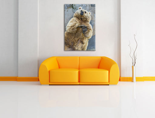 verspielter Grizzlybär Leinwandbild über Sofa
