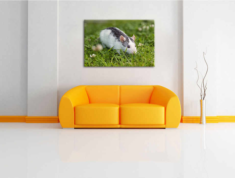 kleine Maus auf Blumenwiese Leinwandbild über Sofa