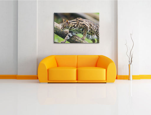 stolzierende Marmorkatze Leinwandbild über Sofa