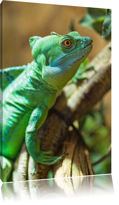 Pixxprint grünes Chamäleon, Leinwandbild