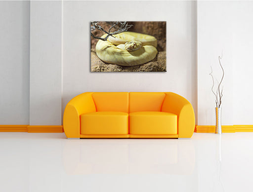 gelbe Schlange Leinwandbild über Sofa