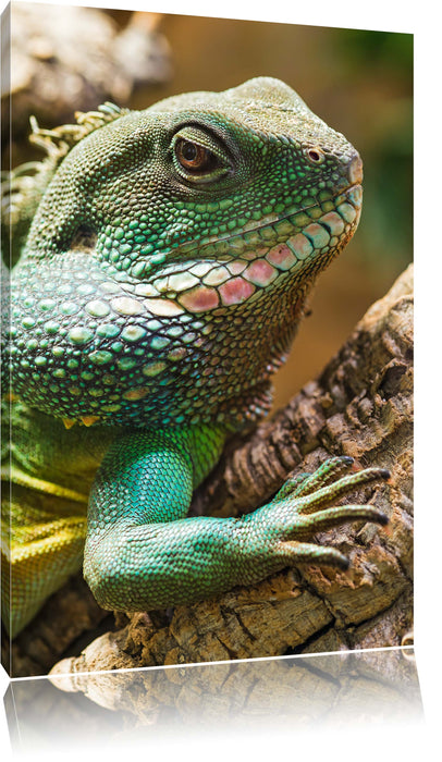 Pixxprint großes grünes Chamäleon, Leinwandbild