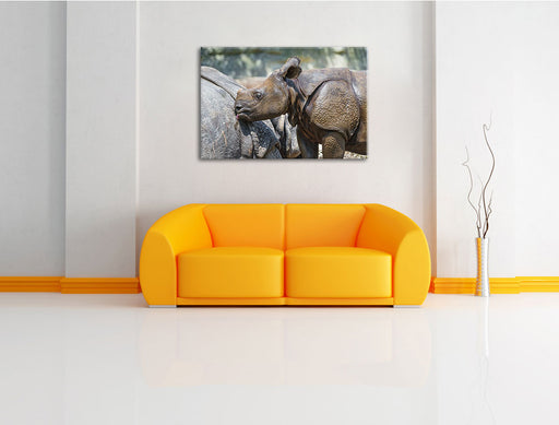 junges Nashorn Leinwandbild über Sofa