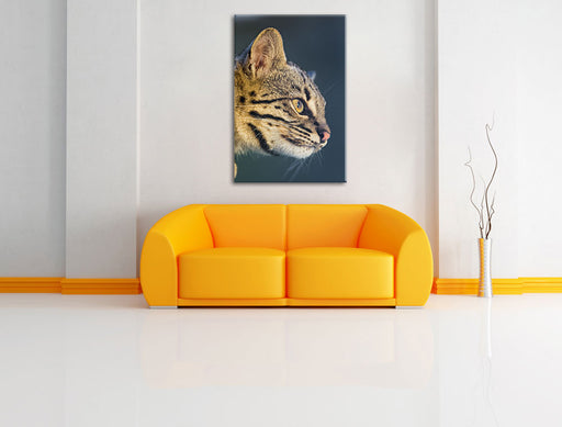 Bengalkatze im Profil Leinwandbild über Sofa