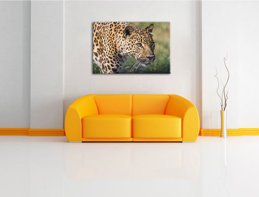 schleichender Leopard Leinwandbild über Sofa