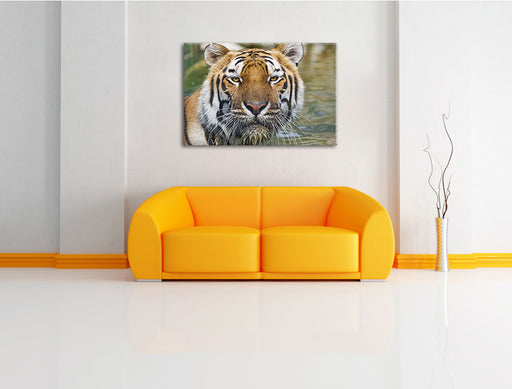 Tiger im Wasser Leinwandbild über Sofa