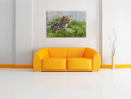 junger Leopard im Gras Leinwandbild über Sofa